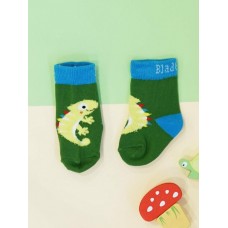 Chameleon Socks